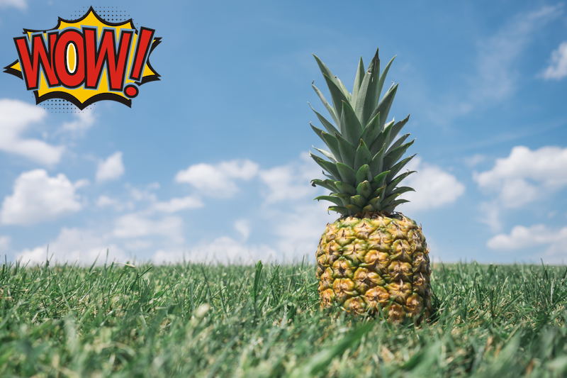 simple overlay usage