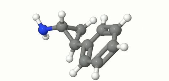 The 50th frame of sample.mp4, converted file